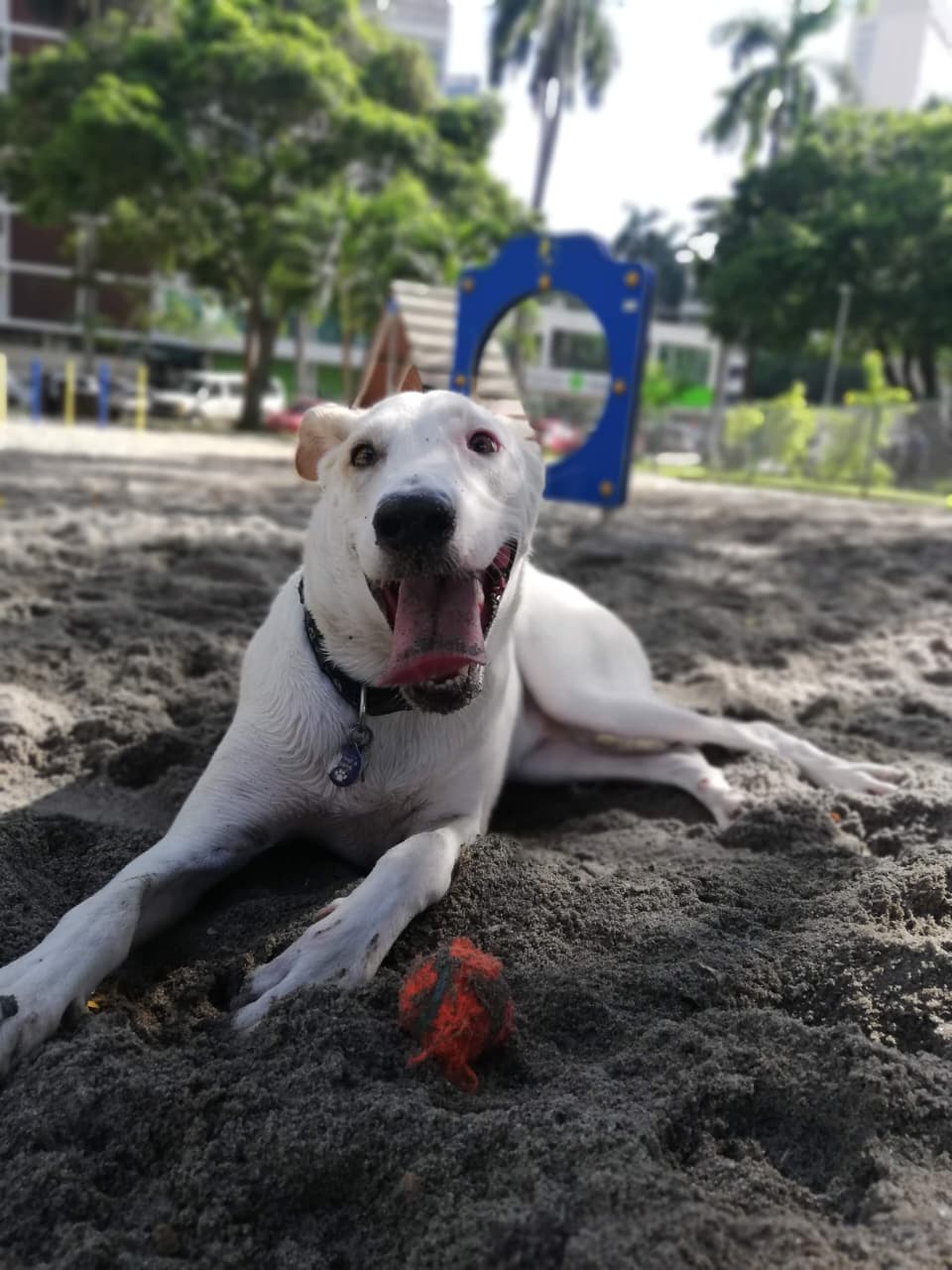 Ejercicio y actividad